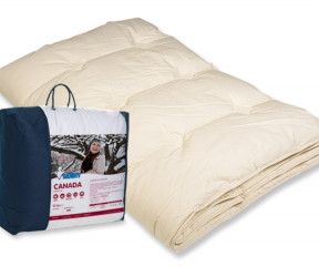 Couette hiver 500 grs enveloppe coton Canada MOSHY